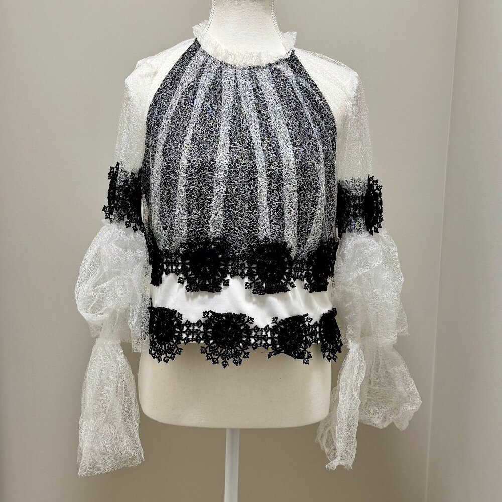 Akira| Puffer sleeve | mesh top